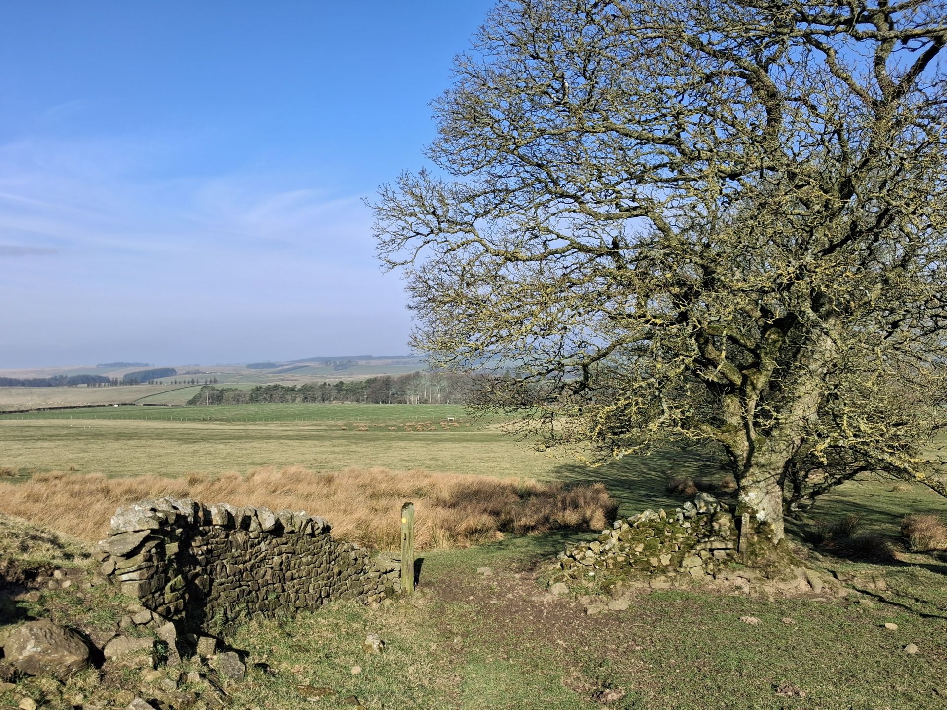 fields above Uppertown